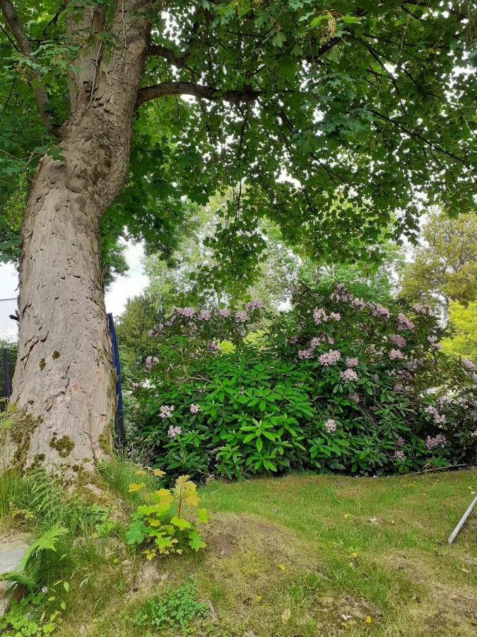 Manoir De L'As De Trefle Bed & Breakfast Isneauville Ngoại thất bức ảnh