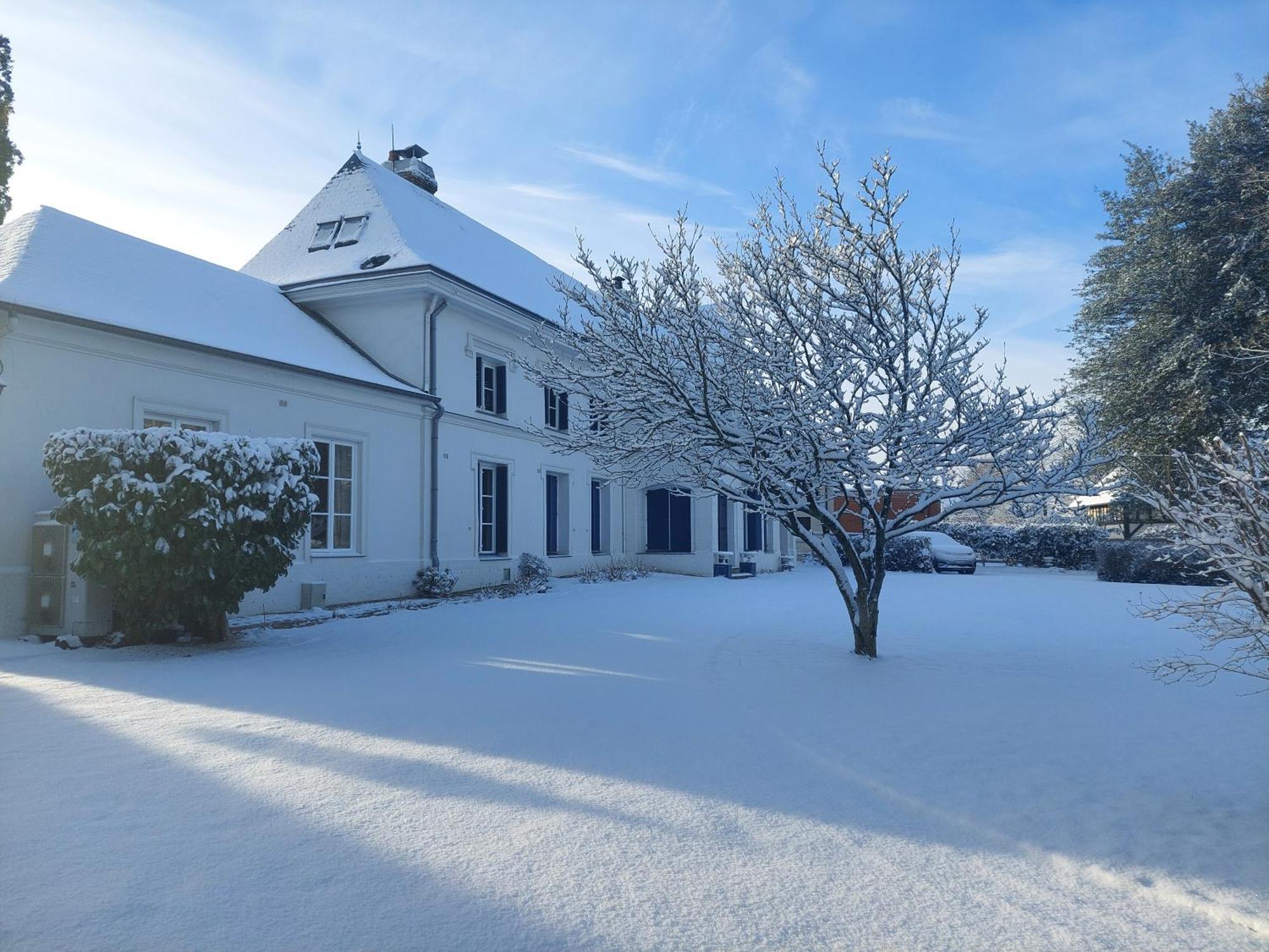 Manoir De L'As De Trefle Bed & Breakfast Isneauville Ngoại thất bức ảnh